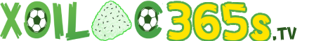 giá xe vf8